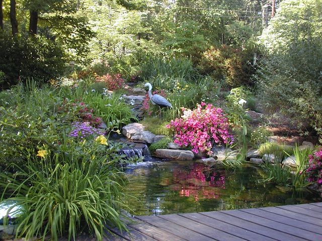 naturalistic pond small waterfall